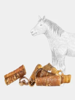 Friandise de mastication pour chien - Trachée de cheval 🐎