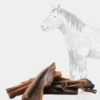 Friandise de mastication pour chien - Peau de Cheval 🐎