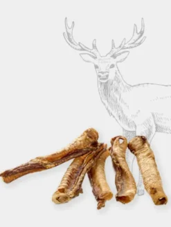 Friandise de mastication pour chien - Trachée de cerf 🦌