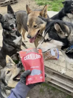 Friandises Carnilove Jerky pour chien - Muscle de Boeuf 🐂