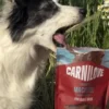 Friandises Crunchy Snack - Maquereau et Framboises - Carnilove