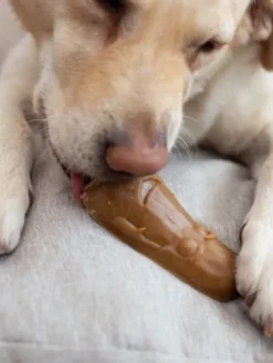 Friandises dentaires à mâcher pour chien - Garden Bites Veggie Friends - S