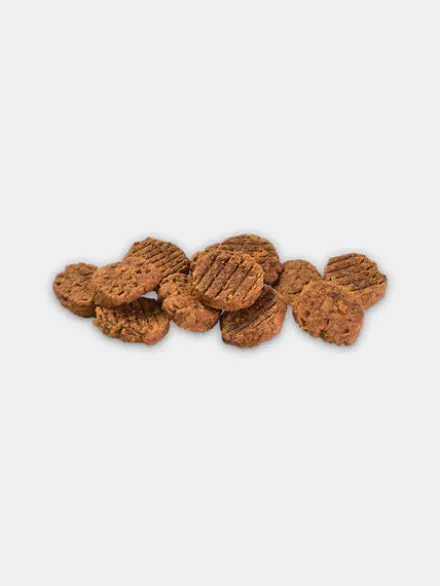 Friandises Jerky Snack recette Chiot - Dinde 🦃 et Citrouille - Brit