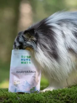 Friandises Lyophilisées - Freeze-dried Raw pour chien - Crevette 🦐