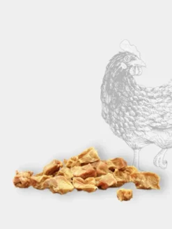 Friandises naturelles d'éducation pour chien - Nugget de Poulet