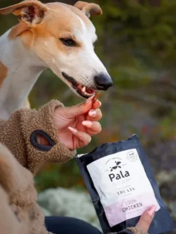 Friandises naturelles d'éducation pour chien - Poulet