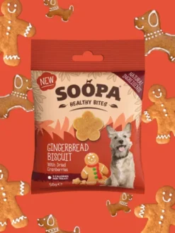 Friandises naturelles - Gingerbread Biscuit 🍪 - Soopa