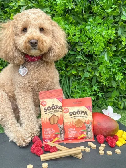 Friandises naturelles - Mangue 🥭 et Framboise édition limitée - Soopa