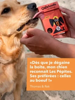 Friandises pour chien - Les Pépites au Boeuf 🐂 - Delamour