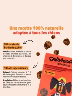 Friandises pour chien - Les Pépites au Boeuf 🐂 - Delamour