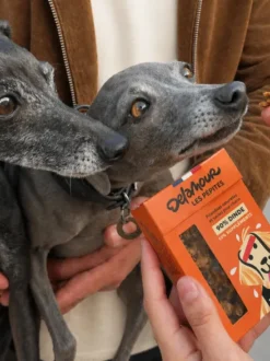 Friandises pour chien - Les Pépites à la Dinde 🦃 - Delamour