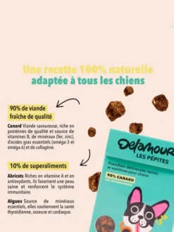 Friandises pour chien - Les Pépites au Canard 🦆 - Delamour