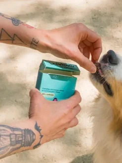 Friandises pour chien - Les Pépites au Canard 🦆 - Delamour