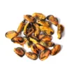 Friandises pour chien - Moules à lèvres vertes - Mr Bones
