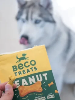 Friandises pour chien - Peanut Butter - Noix de Coco et Curcuma