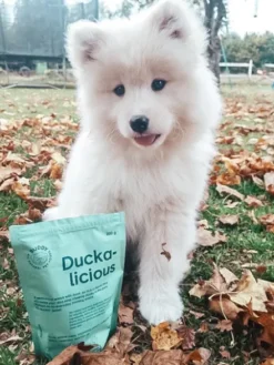 Friandises saines pour chien - Duckalicious - Canard
