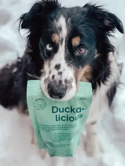 Friandises saines pour chien - Duckalicious - Canard