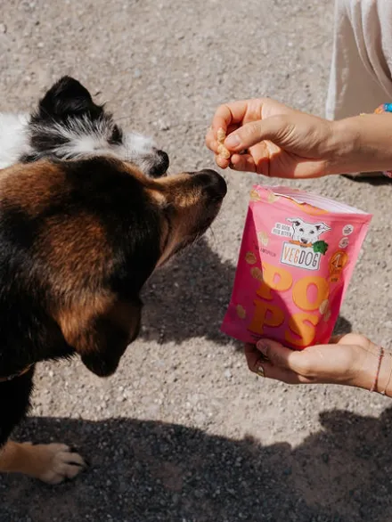 Friandises soufflées pour chien - Pops 🍘 - Vegdog