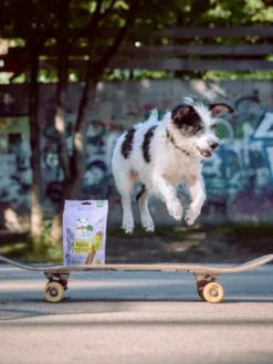 Friandises Vegan à mâcher pour chien - Mobilities - Vegdog