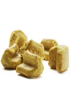 Friandises Vegan pour chien - Renfort immunitaire - Vegdog