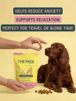 Friandises véganes pour chien - Calming bites 🧘 The Pack