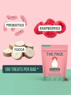 Friandises véganes pour chien - Gut bites (Digestion) ➿ The Pack