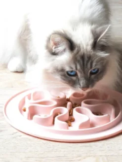 Gamelle anti-glouton pour chat - sable