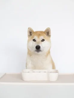 Gamelle anti-glouton pour chien os - Rouge
