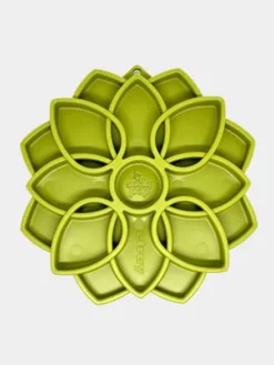 Gamelle d'enrichissement - Mandala - Vert - SodaPup