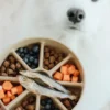 Gamelle d'enrichissement pour chien - Bento 3-en-1 - Dunes - Lambwolf