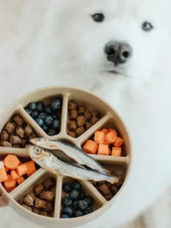 Gamelle d'enrichissement pour chien - Bento 3-en-1 - Dunes - Lambwolf