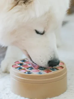 Gamelle d'enrichissement pour chien - Bento 3-en-1 - Dunes - Lambwolf