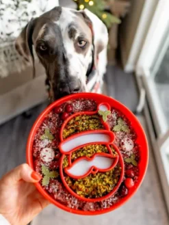 Gamelle d'enrichissement pour chien - Santa - SodaPup