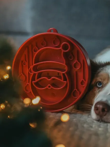 Gamelle d'enrichissement pour chien - Santa - SodaPup