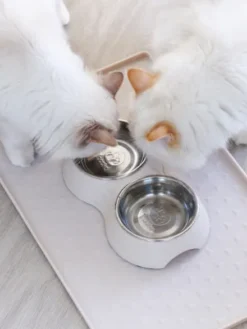 Gamelle double TWINOO pour chat - Sable