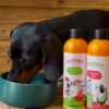 Gaspacho pour chien et chat - Gazpet Melon 🍈 et Poire 🍐 - Yogupet