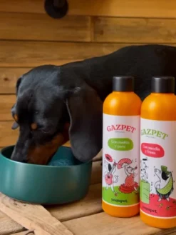 Gaspacho pour chien et chat - Gazpet Melon 🍈 et Poire 🍐 - Yogupet