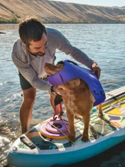 Gilet de sauvetage pour chien - Float coat Violet - Ruffwear