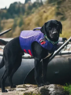 Gilet de sauvetage pour chien - Float coat Violet - Ruffwear