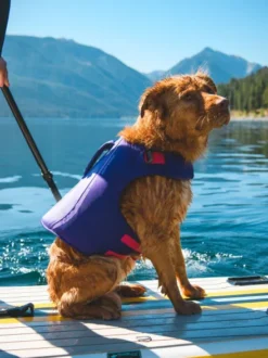 Gilet de sauvetage pour chien - Float coat Violet - Ruffwear