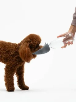 Gourde et distributeur d'eau portable Leaf - Gris - United Pets