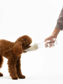 Gourde et distributeur d'eau portable Leaf - Sable - United Pets