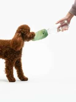 Gourde et distributeur d'eau portable Leaf - Vert - United Pets