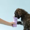 Gourde pour chien avec distributeur d’eau - Medium (44 cl) Lila - Springer