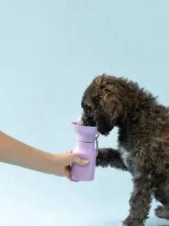Gourde pour chien avec distributeur d’eau - Medium (44 cl) Lila - Springer