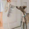 Gourde pour chien avec distributeur d’eau - Large (65 cl) Gris - Springer