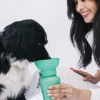 Gourde Springer Flip Dog avec distributeur d’eau - Noir - Springer