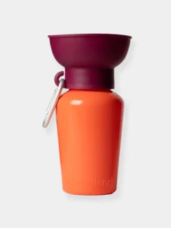 Gourde Springer Flip Dog - Ed. Limitée Valencia - Springer