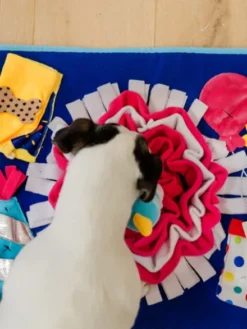Grand Tapis de fouille pour chien - Anniversaire 🎂 - Pet PLAY