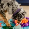 Grand Tapis de fouille pour chien - Océan 🪸 - Pet PLAY